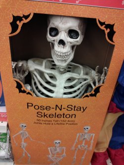 roselikesbutts:  jicamahowler:  I have a mighty need.  I have three of these exact skeletons sitting at my kitchen table right now, all wearing wigs. 