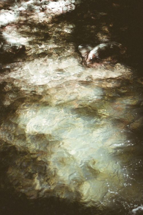 rabbitinthemeadow:And in the clarity of that gentle brook, wash my eyes clean // Part 2