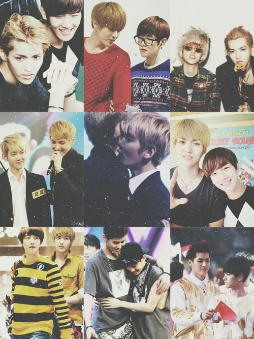 mochimin:  Kris &amp; EXO-K 