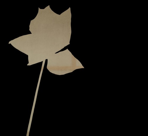 marcolikestowatch: Jannis Kounellis Il Fiore, 1960s