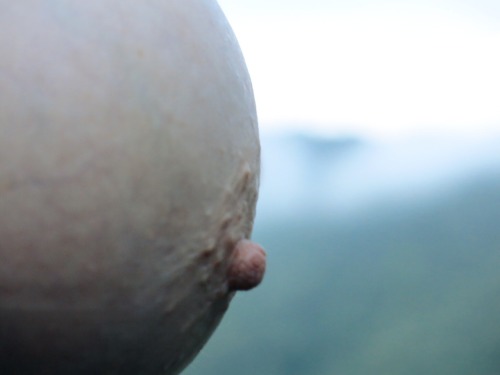 naked-yogi:  nakednewsgirl:  Nipple. Blue Ridge Mountains.   That is close to home. :)