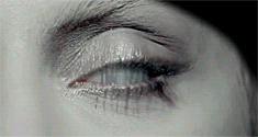 amenvenus: GAGA. LADY GAGA. FAME.