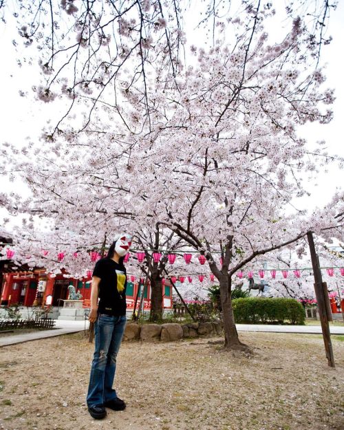 Blossoms & Beer! That’s Spring in Japan! T-Shirts, Tank Tops, Flip Flops, Hoodies, Sweatshirts, 