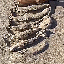 Dirt Stimboard !