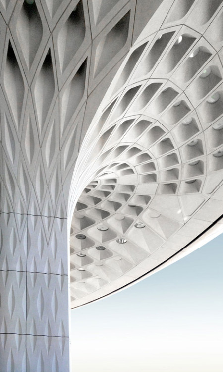 arieltecture: Airports roofs offer opportunities for combinations of structural elements and natural