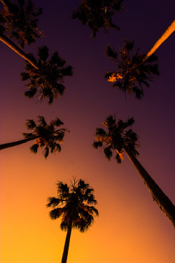 kushandwizdom:  More photography here