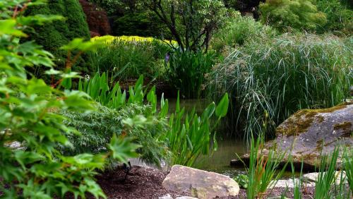 Harlow Carr Gardens, North Yorkshire, England.