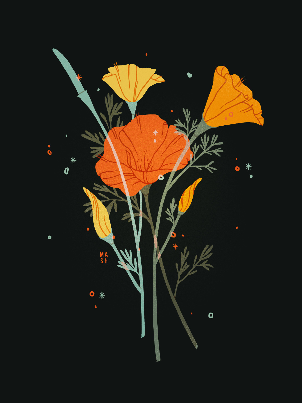 IMG