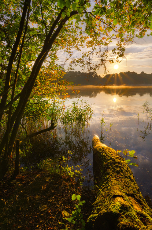 scrapbooking-nature: This is the autumn by Dietrich Bojko Via Flickr: