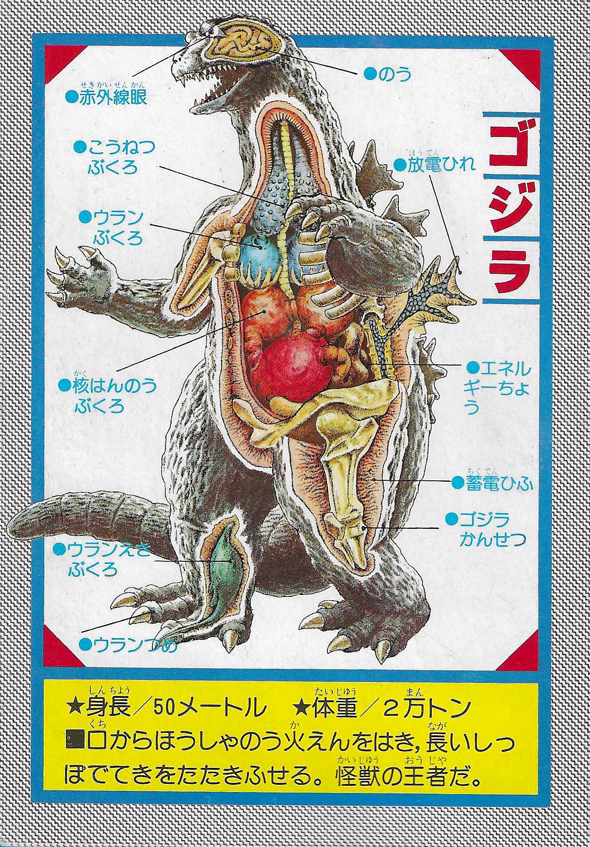 12796 Kamenrider (1995 WF) is a main-belt asteroid