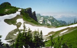 eopederson:Late Season Snow Patches, Mt. Margaret Area, Mt. St. Helens National Volcanic Monument, Washington, August 2000.