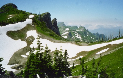 eopederson:Late Season Snow Patches, Mt. Margaret Area, Mt. St. Helens National Volcanic Monument, W