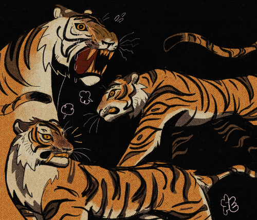 loverofallthingssmart:punkray:  tiger tiger tiger   [id: a digital art of 3 tigers. one of them is drawn fully, looking to the side as it bares it’s teeth. another is shown partially from the chest up as it open its mouth up, eyes open in an emotion