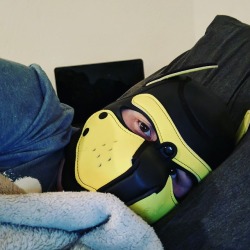 juniorpup0:  Was pupping out last night.