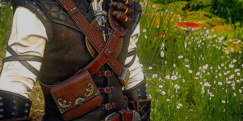 eddie-gluskins:“Geralt of Rivia, master of the witchering trade!”