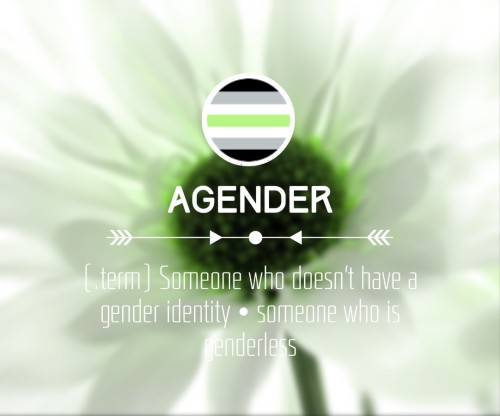 frogplushedgehog: [THE GENDERQUEER SERIES]Genderqueer (.noun): denoting or relating to a p