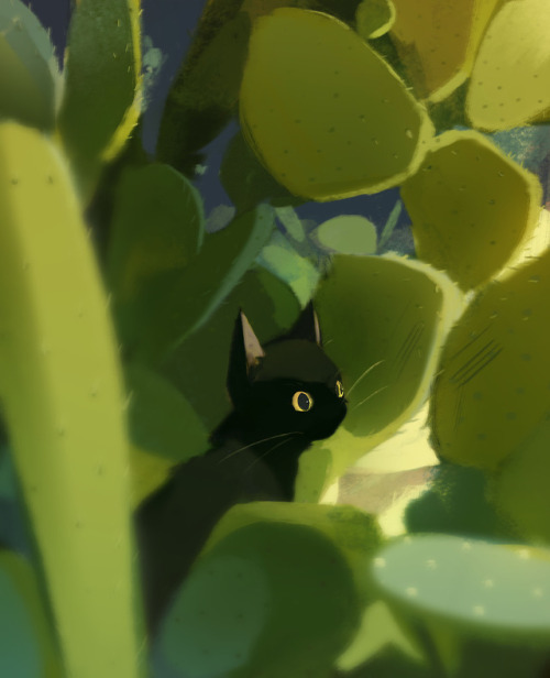 Me and my friends got the perfect moment of a cat between the cactos.you can find the prove on insta