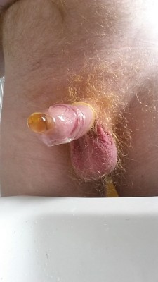 ginger-fur:  Request: piss in condom. Then