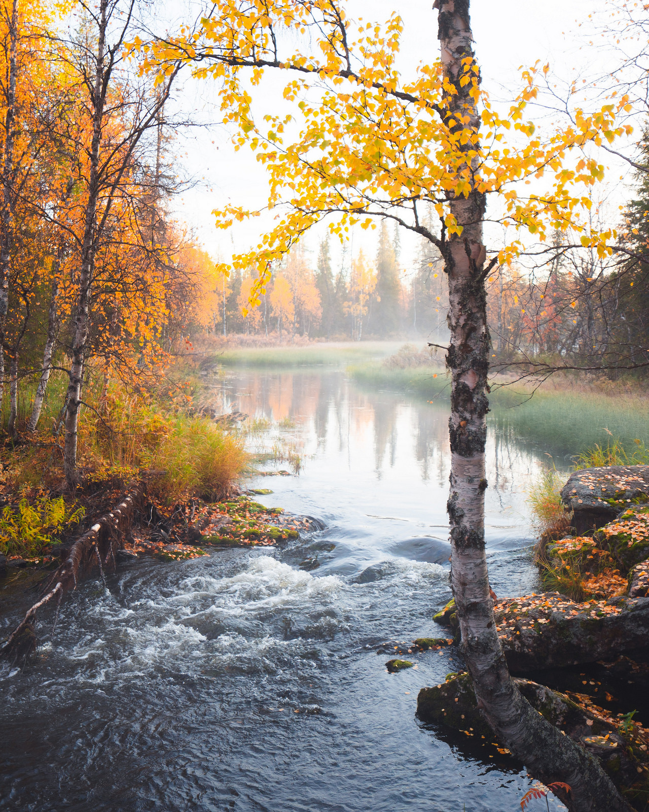 expressions-of-nature:  by Niilo Isotalo (instagram)