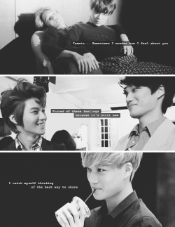 kaimint: taekai; feelings for you