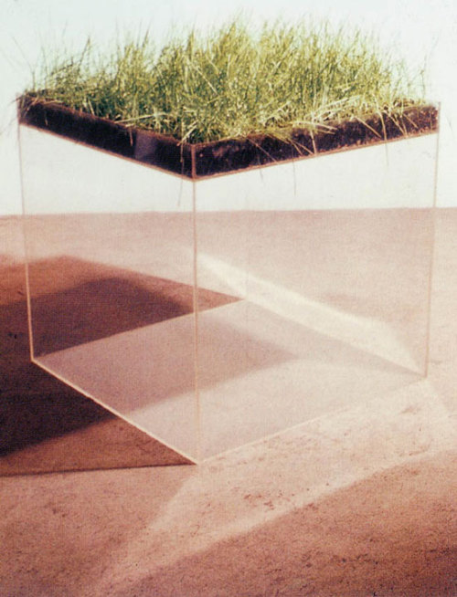 nyctaeus:Hans Haacke, ‘Grass Cube’, 1967