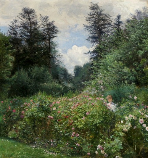 fleurdulys:Flowering Roses - Peter Tom Petersen