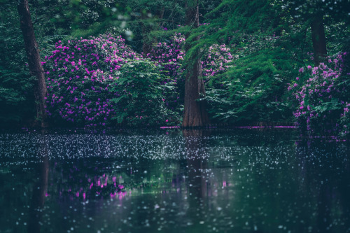 tumblr photo