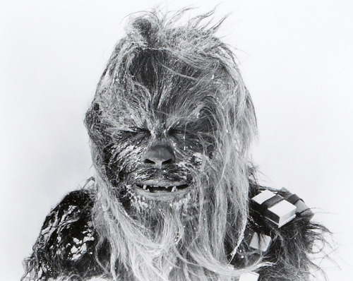 tayx2:  ultrakillblast:  Thank you, Peter Mayhew.   😢
