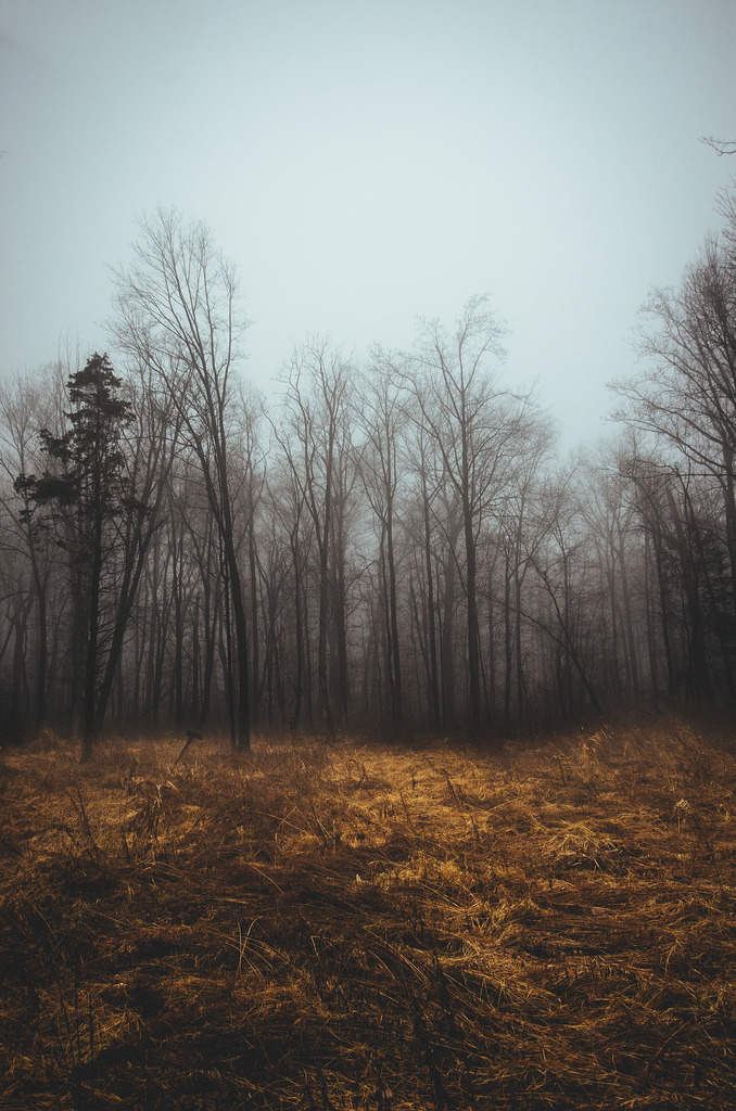 ominousraincloud:Untitled | By Joey