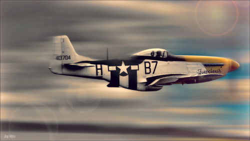 bestaviation:  Warbird.. <follow here for more>