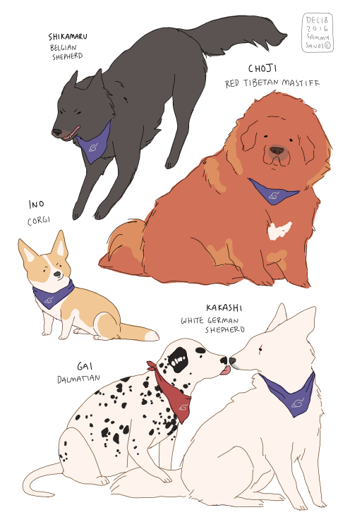 naruto, but everyone is a DOG