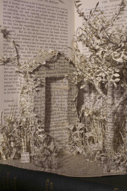 ‘How Does Your Garden Grow?’Wire, Wadding & Vintage BooksFirst book sculpture comple