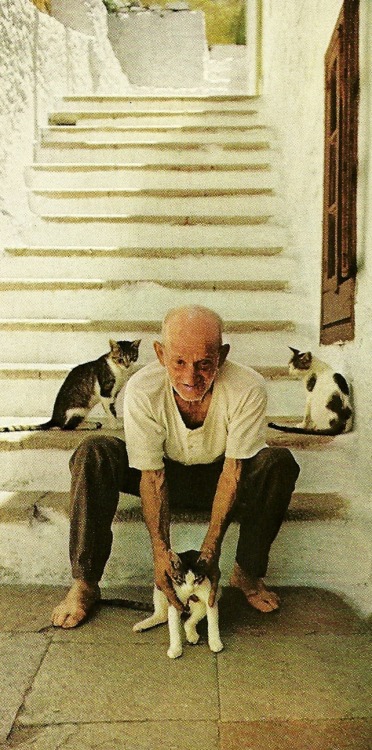 vintagenatgeographic: Retired seaman with his cats on Greek island Simi National Geographic | August