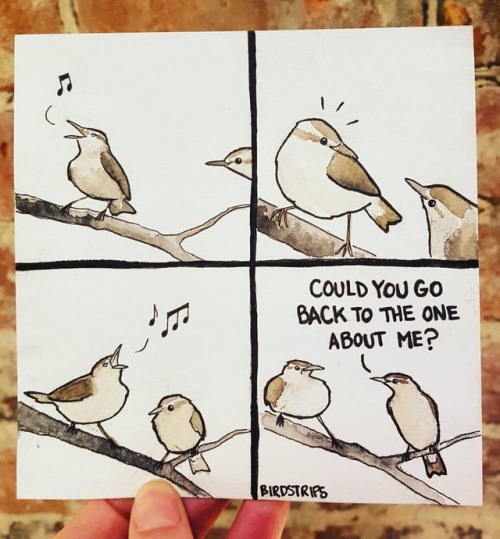 Bird no. 509. My favourite song..A little break from Freaky Slap Hand, I&rsquo;d like to end up with