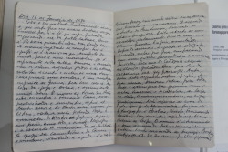 Manuscrito de José Saramago