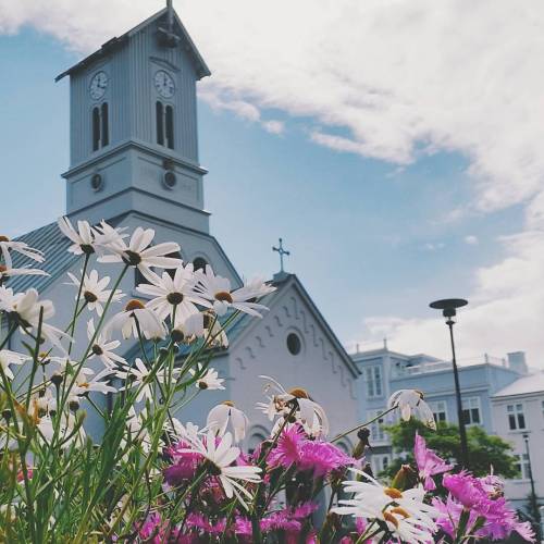 iheartreykjavik:The sun is out again - yay! #helloreykjavik #iceland #reykjavik