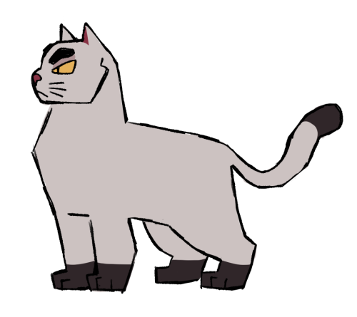 shadowclan