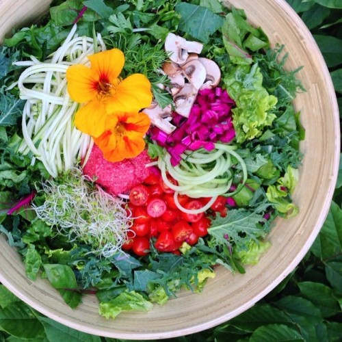 exoticauhl: eat-to-thrive:Vibrant nutrient filled #rainbowsalad! Baby kale, romaine lettuce, swiss c