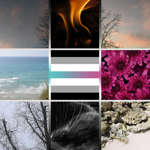 Agenderflux moodboard! All photos are my own, please credit if you re-use. [Image description: a 3 b