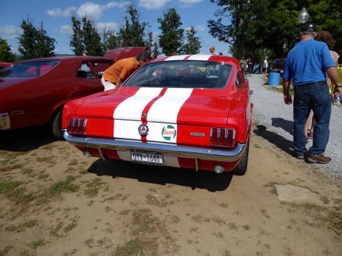 fromcruise-instoconcours: Shelby GT350H, the rent-a-racer available through Hertz