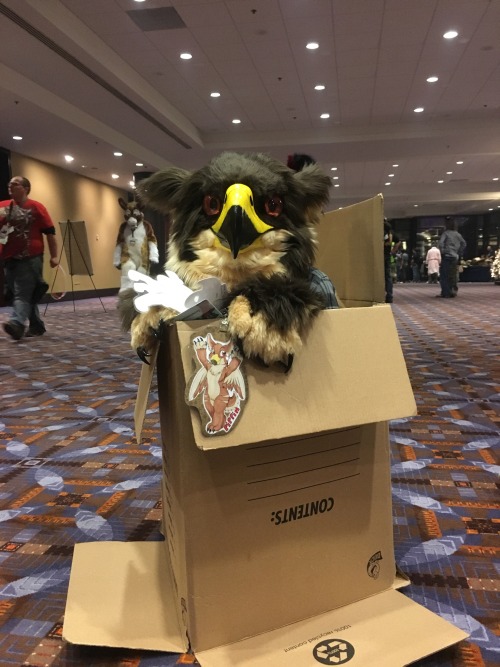 gryphonbutts:We put a tiny gryphon in a box. adult photos