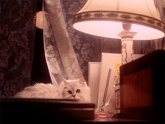 myellenficent:  Hausu (1977) Dir. Nobuhiko Obayashi