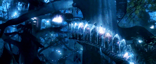 klaushargreeveses:     Frodo stood awhile still lost in wonder. It seemed to him that he had stepped through a high window that looked on a vanished world. A light was upon it for which his language had no name.   