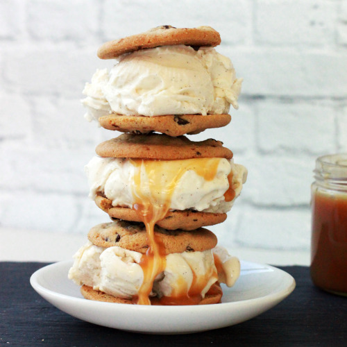 stevesicecream:  Steve’s Ice Cream - Bourbon Vanilla & Salted Caramel. 