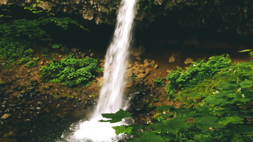 leahberman: feel flows Upper Horsetail Falls, Oregon instagram