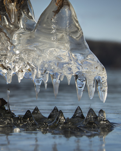 ray-sussmann:Ice Teeth©Raymond P Sussmann