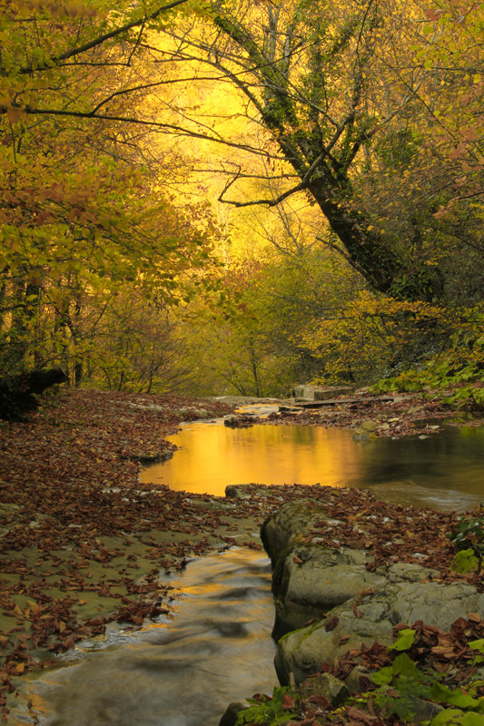 sublim-ature:Erfelek, TurkeyAhmet Gedikli