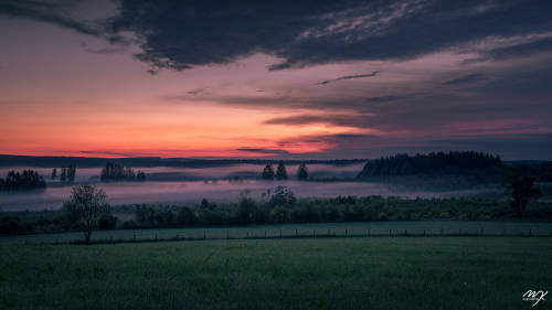 THE DAWN MIST GLOWING by Michael J. Kochniss