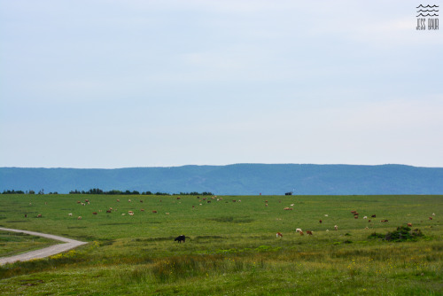 More Cabot Trail bits - Cape Breton, Nova Scotia.