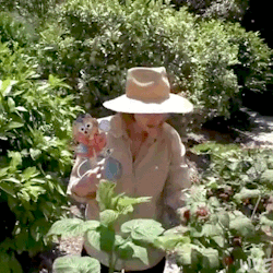 Elizabeth Olsen + Hattie Harmony the Worry Detective #elizabeth olsen#eolsenedit#elizabethdaily#gardening#marvelcast#marvelcastedit#dailywomen #women of marvel #marvel women #women of mcu #robbie arnett#hattie harmony#worry detective #our girl is a published author yall  #and a ventriloquist apparently lol  #her gardening videos >>>>> #my edit#WVE edits#instagram